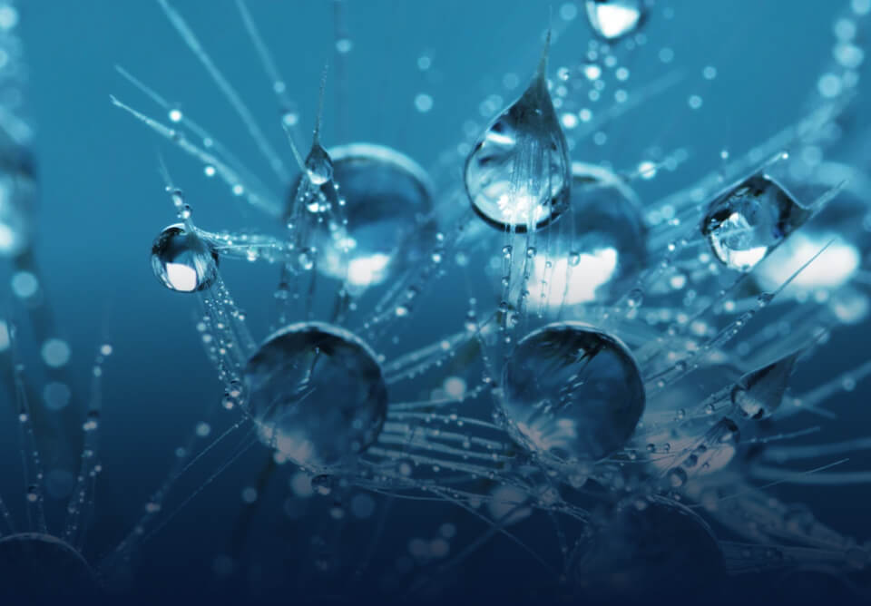 GlaxoSmithKline: Data Security that Moves at the Speed of Science