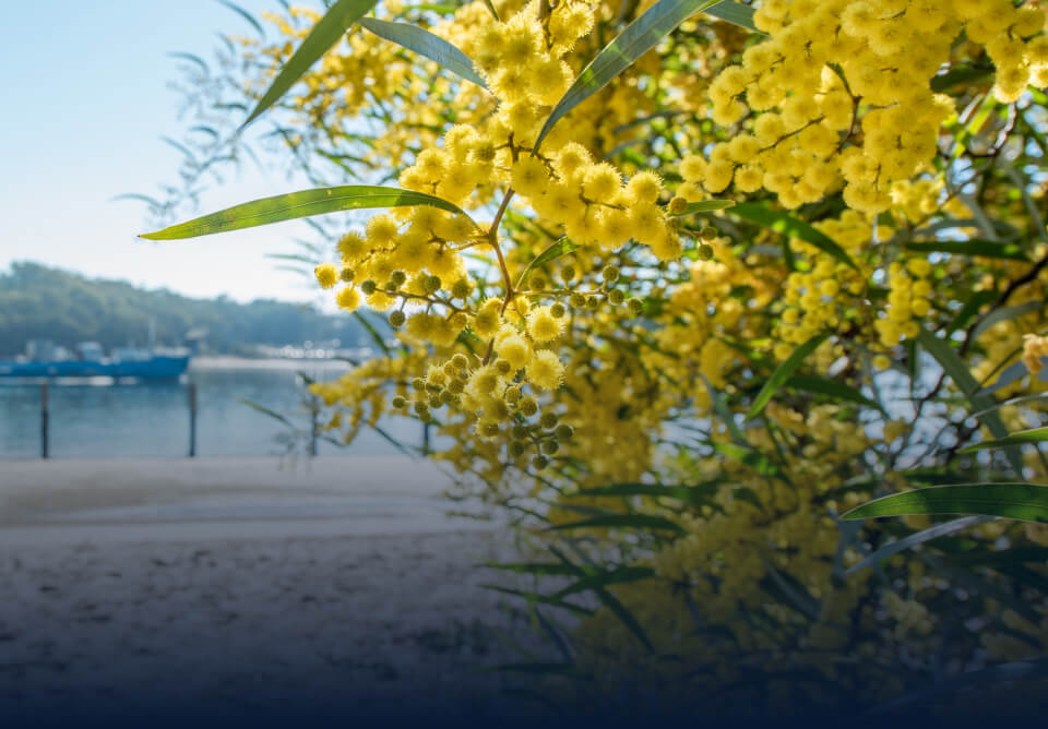 Redland City Council Democratises Data with Rubrik