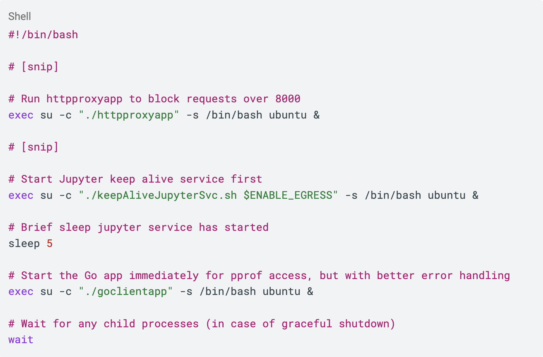 entrypoint.sh script